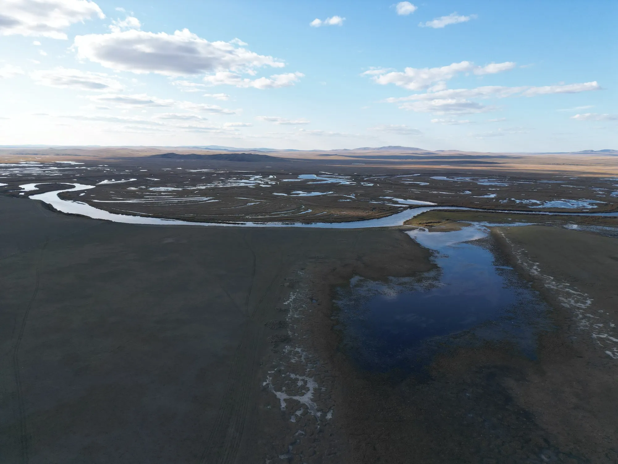 Wetland